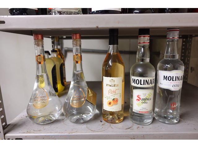 Partij sterke drank - afbeelding 3 van  14