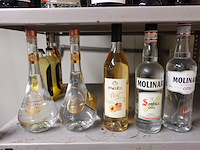 Partij sterke drank - afbeelding 3 van  14