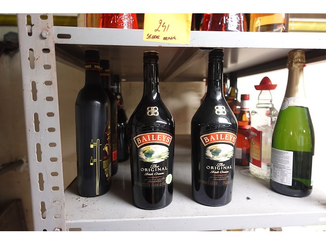 Partij sterke drank - afbeelding 12 van  14