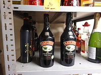 Partij sterke drank - afbeelding 12 van  14