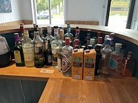Partij sterke dranken en likeuren - afbeelding 2 van  4
