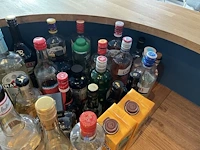 Partij sterke dranken en likeuren - afbeelding 3 van  4