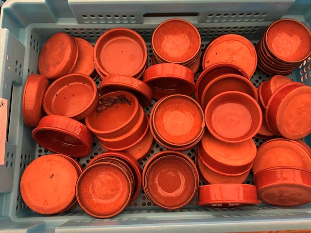 Partij terracotta schoteltjes - afbeelding 5 van  5