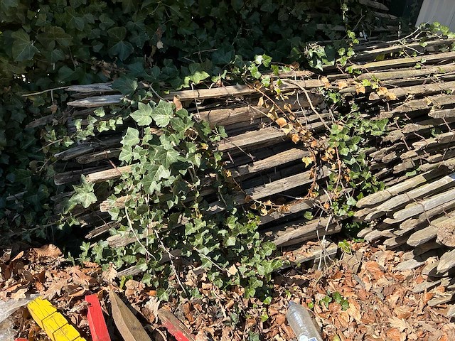 Partij tuinhekwerk op rol - afbeelding 2 van  3