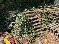 Partij tuinhekwerk op rol - afbeelding 2 van  3