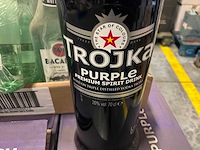 Partij vodka en aperitieven - afbeelding 2 van  4