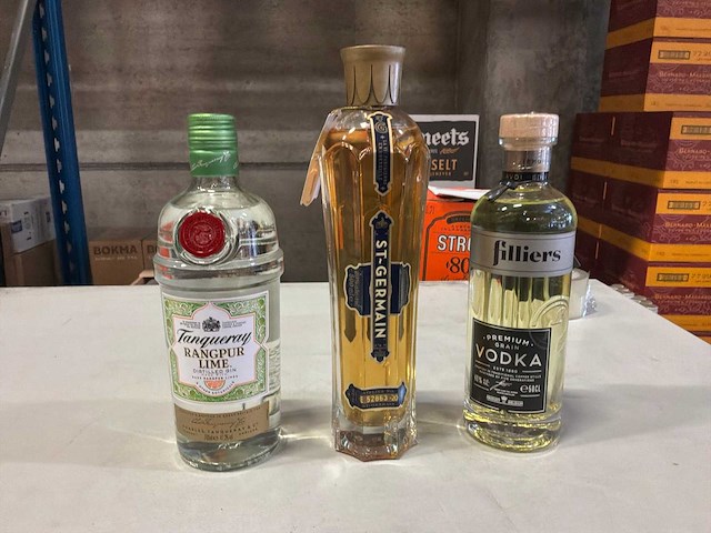 Partij vodka, gin en aperitieven - afbeelding 1 van  2