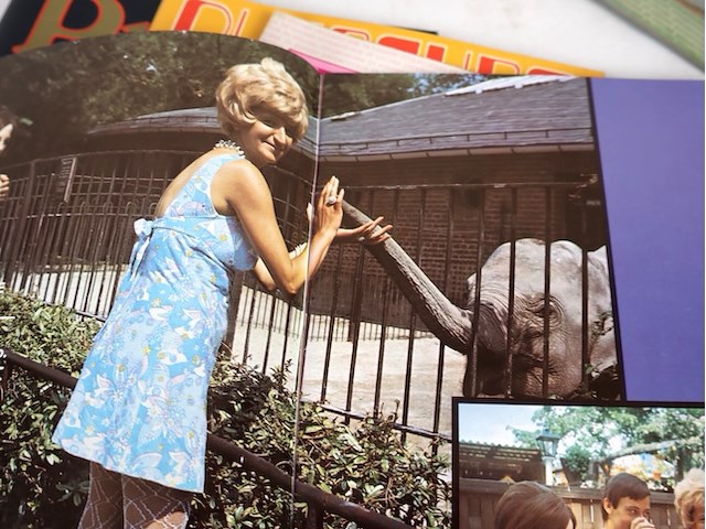 Partij volwassen literatuur - afbeelding 5 van  7