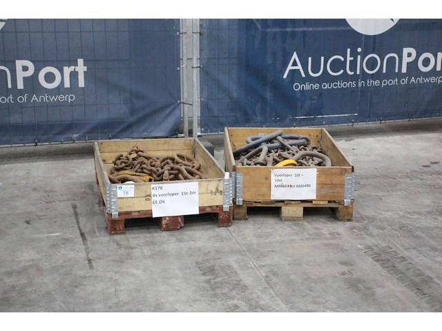 Partij voorlopers 15t/2m; 10t/10m - afbeelding 1 van  1