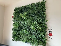 Partij wandimitatieplanten