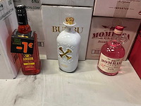 Partij whisky, port, aperitieven en gin - afbeelding 2 van  4
