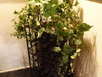 Partij wijnkelder decoratie - afbeelding 15 van  20