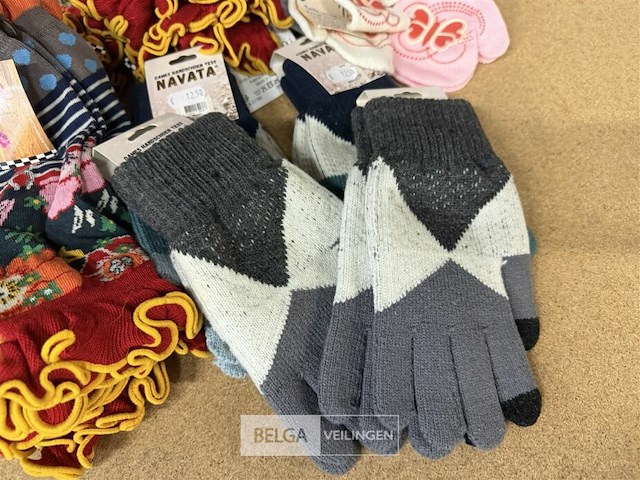 Partij winteraccessoires - afbeelding 4 van  5