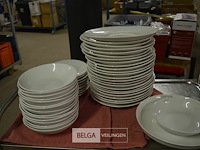 Partij witte borden sastrugi