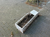 Partijbloempotten en plantenbakken - afbeelding 2 van  5