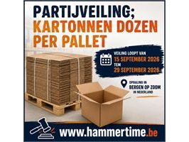 Partijveiling; kartonnen dozen per pallet
