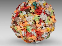 Pascal courcelles (1956), a sphere of oil paint, 2005, 18 cm. (7.08 in.) - afbeelding 5 van  6