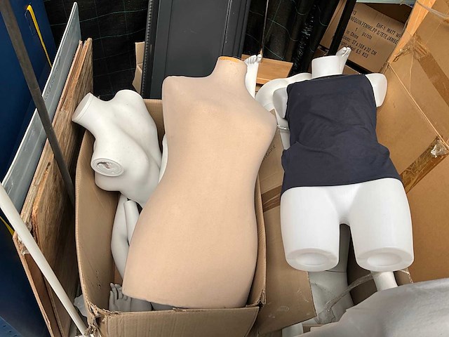 Paspop (3x) - afbeelding 4 van  6