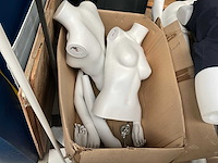 Paspop (3x) - afbeelding 5 van  6