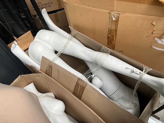 Paspop (3x) - afbeelding 6 van  6