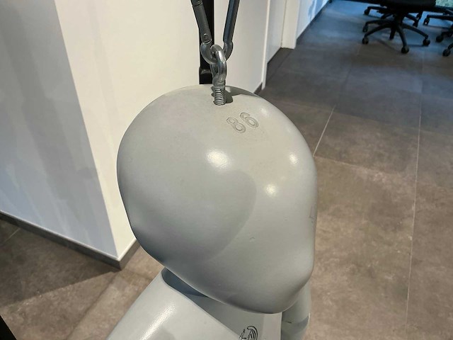 Patented diverse paspoppen (10x) - afbeelding 5 van  20