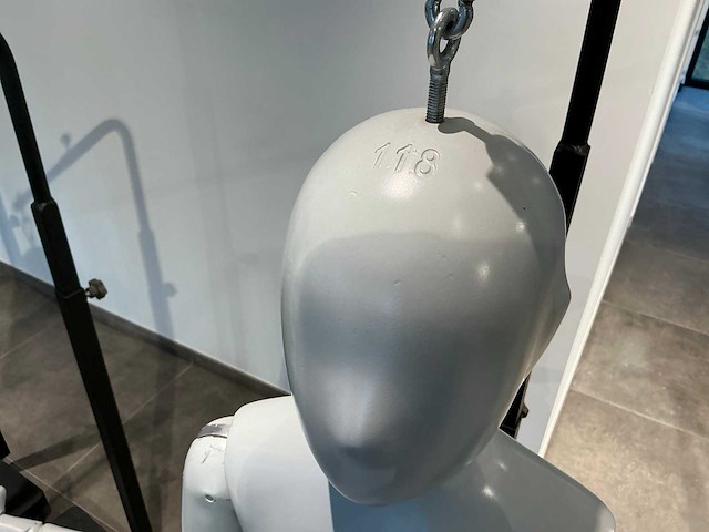 Patented diverse paspoppen (10x) - afbeelding 6 van  20