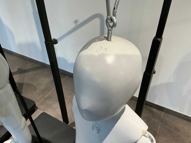 Patented diverse paspoppen (10x) - afbeelding 7 van  20