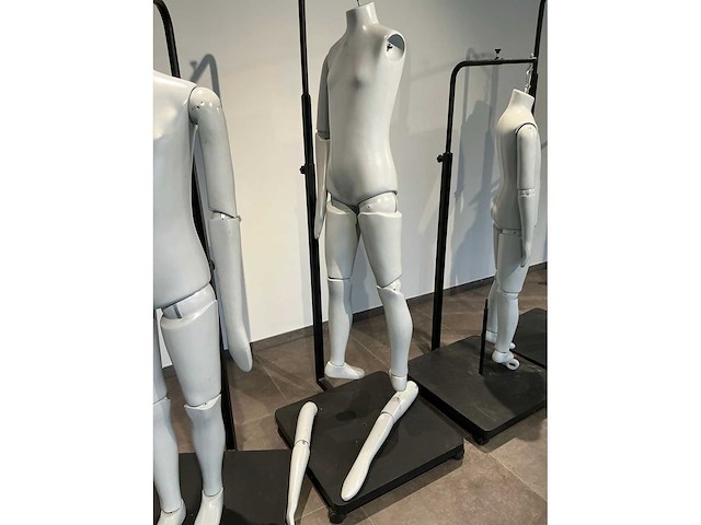 Patented diverse paspoppen (10x) - afbeelding 15 van  20