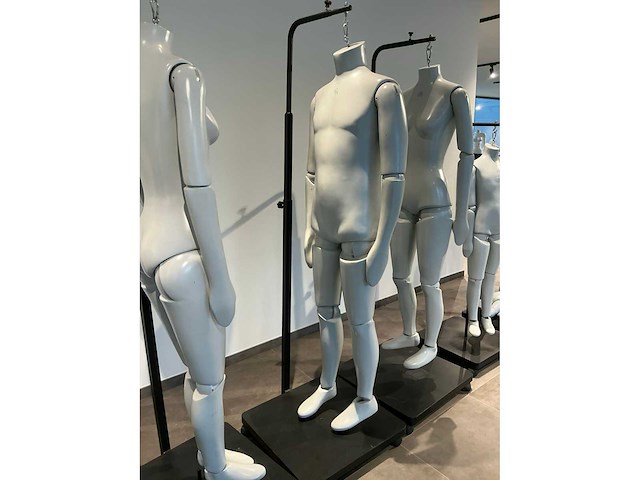 Patented diverse paspoppen (10x) - afbeelding 18 van  20