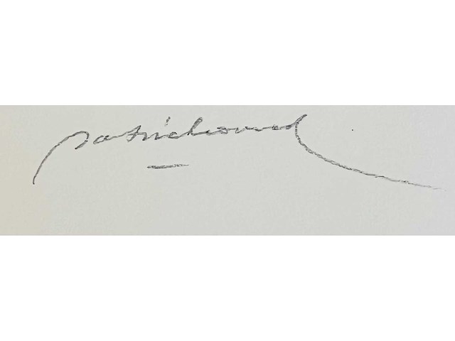 Patrick conrad - kleurenzeefdruk - afbeelding 7 van  11