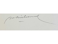 Patrick conrad - kleurenzeefdruk - afbeelding 7 van  11