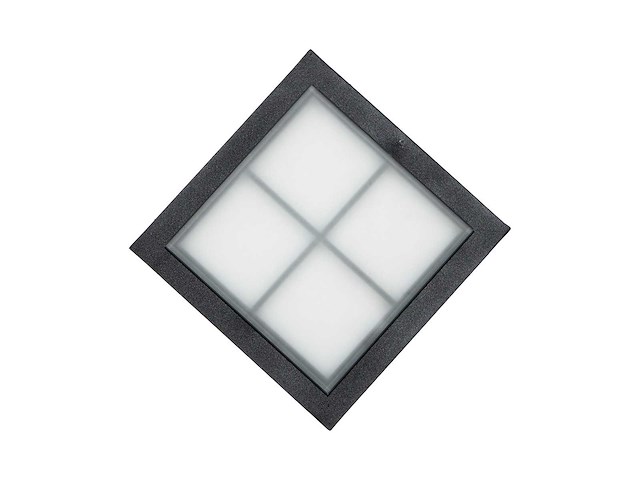 Patrijspoort – zwarte poederlak - afbeelding 5 van  5