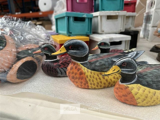 Patrtij eendjes - afbeelding 3 van  4
