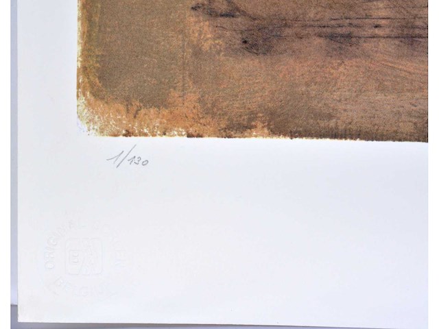 Paul deweerdt - kleurenzeefdruk - 1/130 - afbeelding 4 van  6