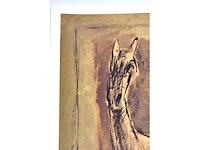 Paul deweerdt - kleurenzeefdruk - 1/130 - afbeelding 6 van  6