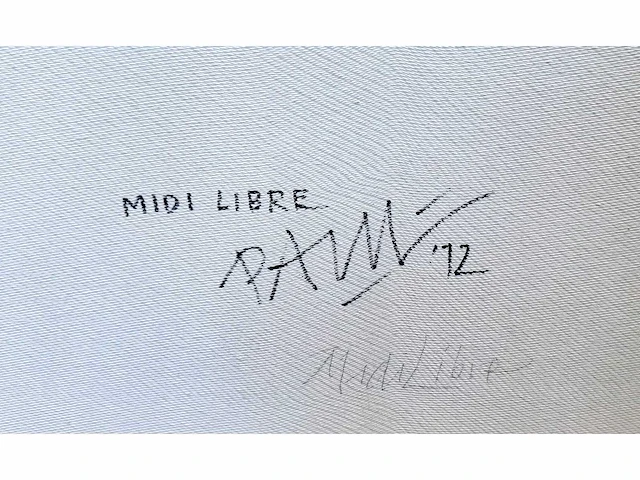 Paul wiggers - midi libre - olie op paneel - 100x100 cm - incl. cataloog - afbeelding 2 van  11
