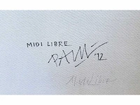 Paul wiggers - midi libre - olie op paneel - 100x100 cm - incl. cataloog - afbeelding 2 van  11