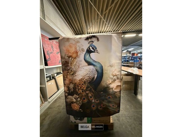 Pauw kunst op doek - afbeelding 1 van  1