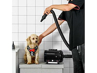 Pawhut professionele föhn trim duster föhn föhn voor honden katten dieren 2800w - afbeelding 1 van  5