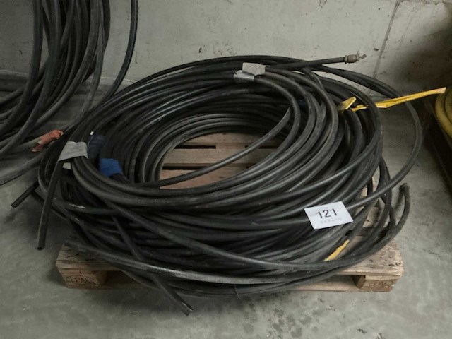 Pe socarex buis - afbeelding 1 van  4