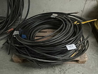 Pe socarex buis - afbeelding 1 van  4