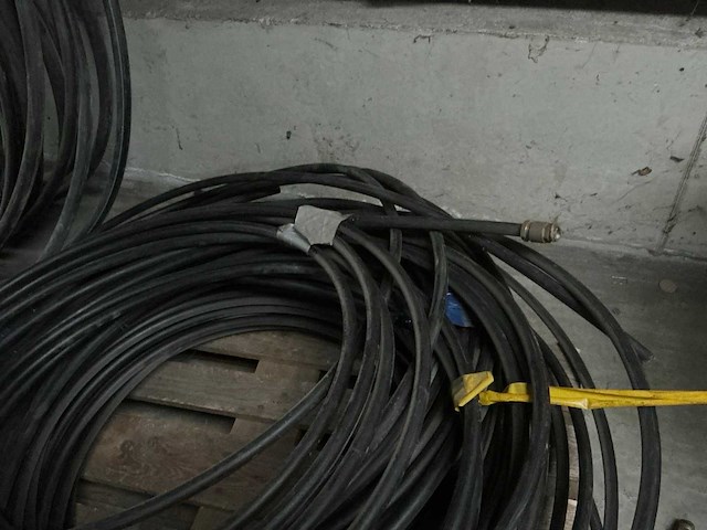 Pe socarex buis - afbeelding 2 van  4