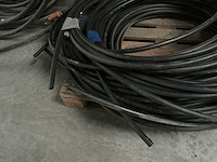 Pe socarex buis - afbeelding 3 van  4