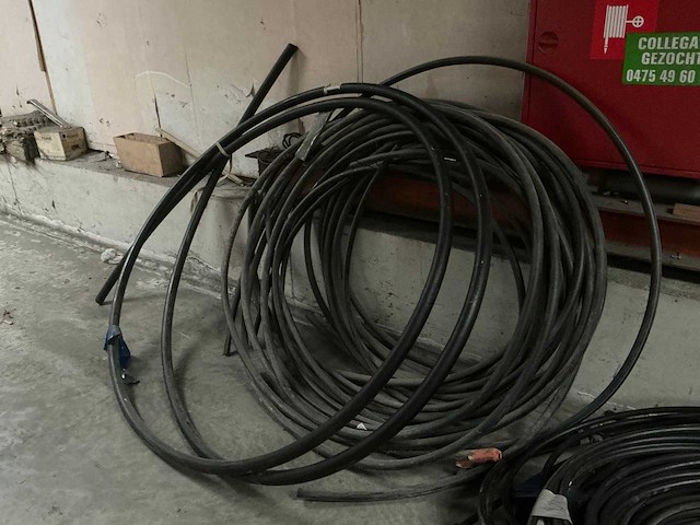 Pe socarex buis - afbeelding 4 van  4