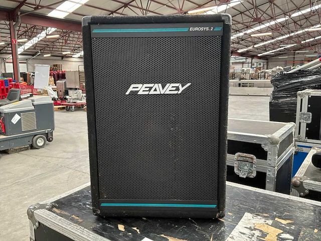 Peavey eurosys 2 luidspreker - afbeelding 1 van  6