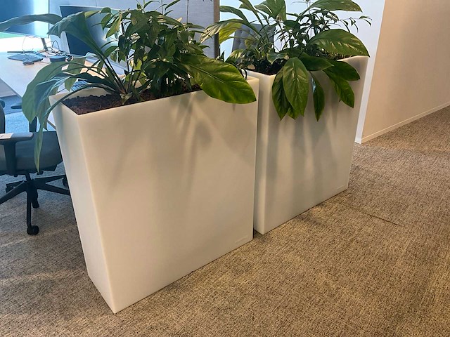 Pedrali kado2 design plantenbak (2x) - afbeelding 1 van  3