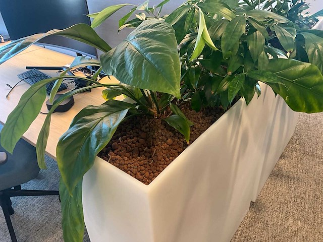 Pedrali kado2 design plantenbak (2x) - afbeelding 2 van  3