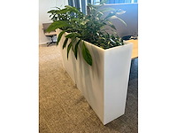Pedrali kado2 design plantenbak (2x) - afbeelding 3 van  3