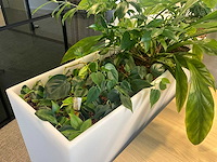 Pedrali kado2 design plantenbak (2x) - afbeelding 5 van  5
