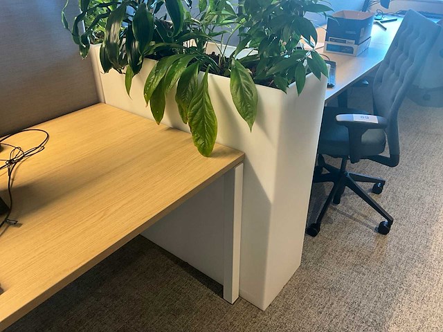 Pedrali kado2 design plantenbak (2x) - afbeelding 1 van  6